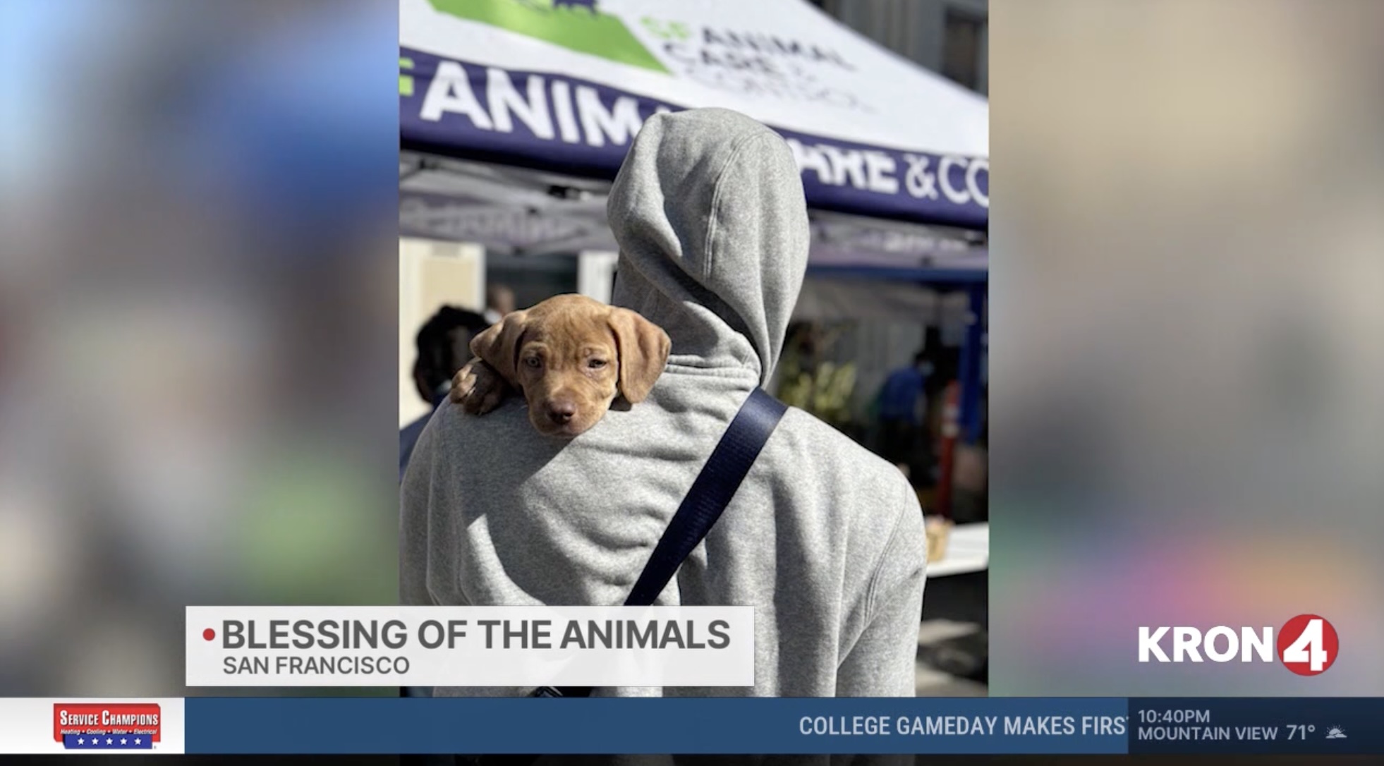 KRON 4 News Video: St. Anthony’s Blessing of the Animals