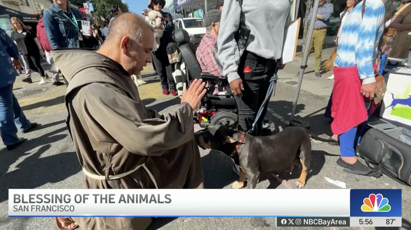 NBC News Bay Area: St. Anthony’s Blessing of the Animals