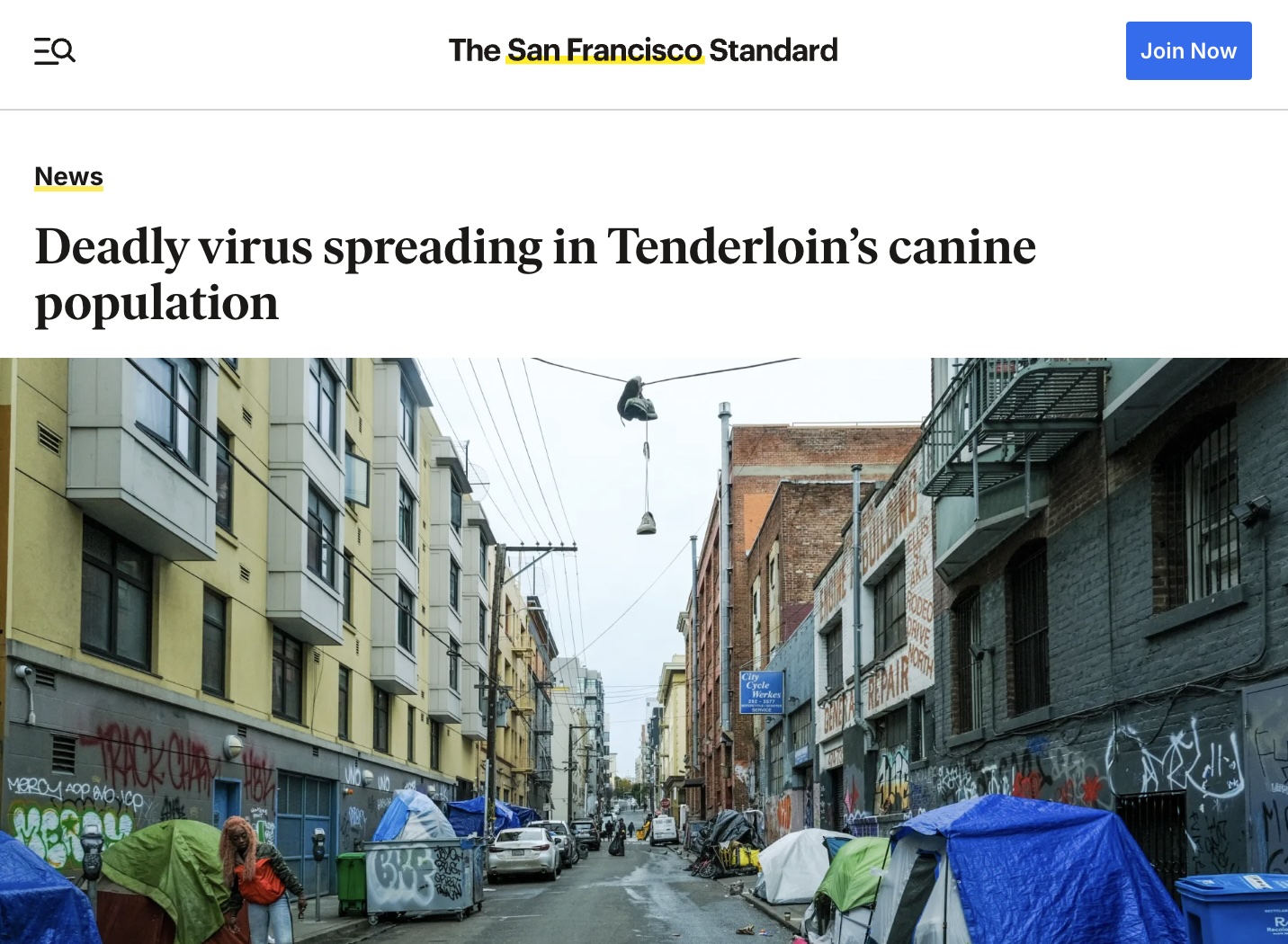 SF Standard: Deadly virus spreading in Tenderloin’s canine population